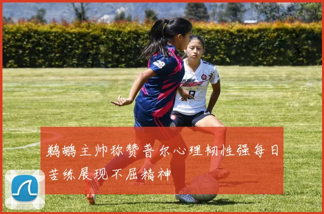 鹈鹕主帅称赞普尔心理韧性强每日苦练展现不屈精神