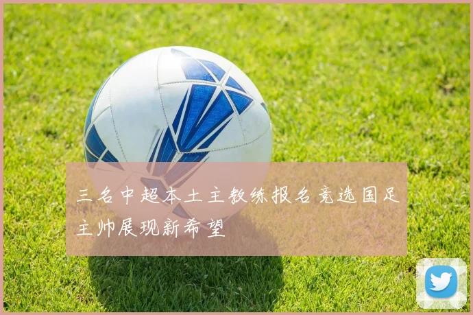 三名中超本土主教练报名竞选国足主帅展现新希望