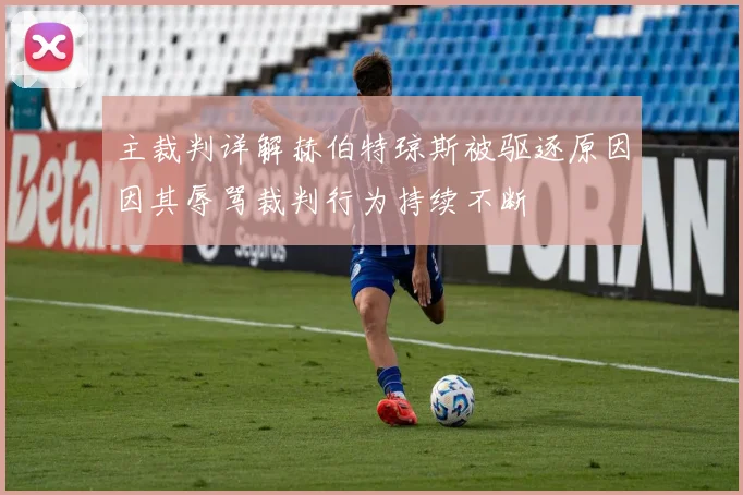 主裁判详解赫伯特琼斯被驱逐原因因其辱骂裁判行为持续不断